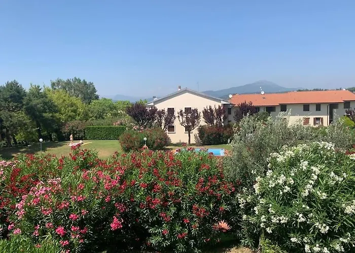 Bernardi Il Lauro *